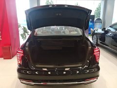 Hongqi H5 2.0T Automatic Qichang Edition - фото 19