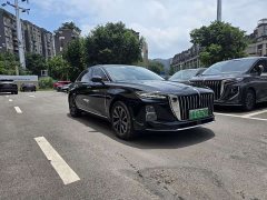 Hongqi H5 1.5T HEV Flagyun 500,000 units commemorative edition - фото 3