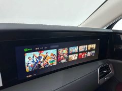 Hongqi E-HS9 660km Qichang version six seats - фото 11