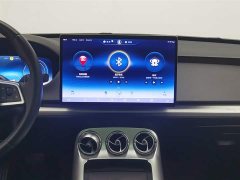Denza X 2020 PHEV Classic Edition - фото 12