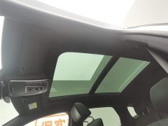 Denza X 2020 PHEV Classic Edition - фото 14