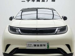 BYD Dolphin 2021 405km fashion version - фото 2
