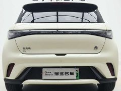 BYD Dolphin 2021 405km fashion version - фото 6