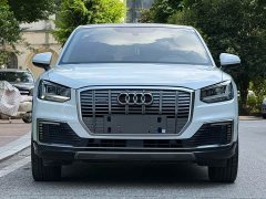 Audi Q2L e-tron 2019 Q2L e-tron pure electric smart - фото 1