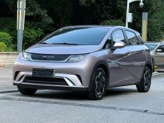BYD Dolphin 2021 405km Free Edition - фото 7