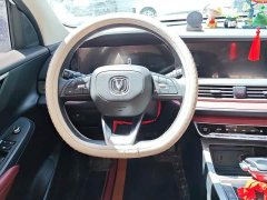 Changan CS55 PLUS Blue Whale Edition 1.5T DCT Luxury - фото 15