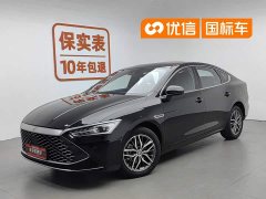 BYD Qin PLUS 2021 DM-i 120KM flagship - фото 1