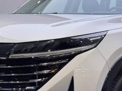 Explore The Land Tanlu 380VC-TURBO four-wheel drive Zhizun Edition 6 seats - фото 12