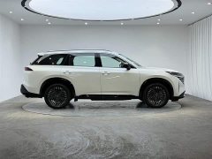 Explore The Land Tanlu 380VC-TURBO four-wheel drive Zhizun Edition 6 seats - фото 3