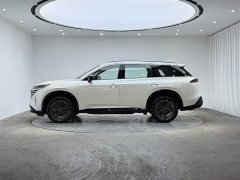 Explore The Land Tanlu 380VC-TURBO four-wheel drive Zhizun Edition 6 seats - фото 4