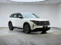 Explore The Land Tanlu 380VC-TURBO four-wheel drive Zhizun Edition 6 seats - фото 6