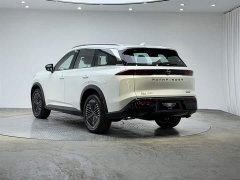 Explore The Land Tanlu 380VC-TURBO four-wheel drive Zhizun Edition 6 seats - фото 9