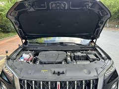 Hongqi HS5 2.0T two-wheel drive Qixiang Pro version - фото 14