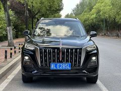 Hongqi HS5 2.0T two-wheel drive Qixiang Pro version - фото 4