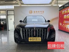 Hongqi HS5 2.0T two-wheel drive Qixiang Pro version - фото 3