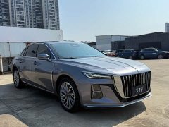 Hongqi H5 2023 2.0T Automatic Zhilianqichang Edition - фото 3