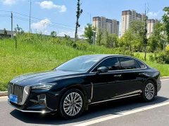 Hongqi H5 2023 2.0T Automatic Zhilianqichang Edition - фото 2