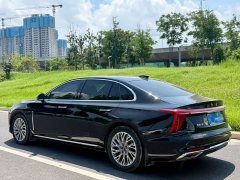 Hongqi H5 2023 2.0T Automatic Zhilianqichang Edition - фото 9