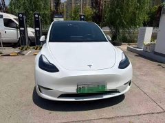 Tesla Model Y long-range all-wheel drive version - фото 2
