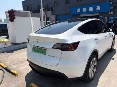 Tesla Model Y long-range all-wheel drive version - фото 3