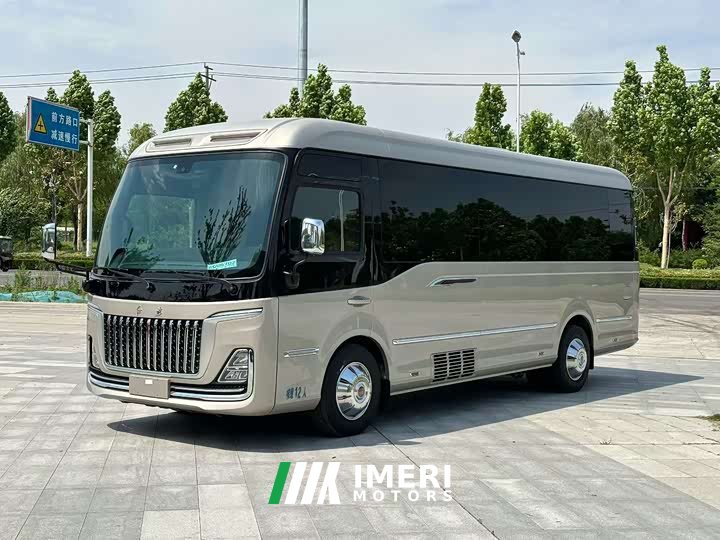 Hongqi Golden Sunflower Guoyue 2024 3.0T Business Edition 12-seater - автомобиль из Китая