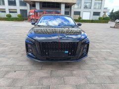 Hongqi H5 2025 1.5T DCT Xuanying 2 Million Edition - фото 7