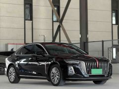 Hongqi H5 2024 2.0T Automatic Zhilianqichang Edition - фото 3
