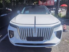 Hongqi E-HS9 660km Qichang version six seats - фото 2