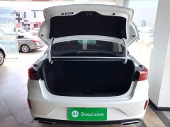 Ford Eado PLUS 1.4T dual-clutch high-energy version - фото 19