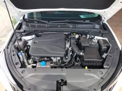 Ford Eado PLUS 1.4T dual-clutch high-energy version - фото 20
