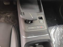 Ford Eado 2025 Blue Whale 1.5T 500Bar Premium Type - фото 14