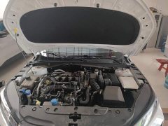 Ford Eado 2025 Blue Whale 1.5T 500Bar Premium Type - фото 20