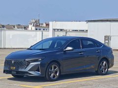 Ruicheng PLUS 1.5T DCT premium - фото 1