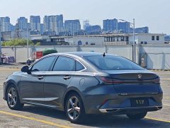Ruicheng PLUS 1.5T DCT premium - фото 6
