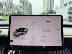 Tesla Model 3 Rear-Wheel Drive - фото 11