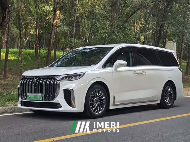 Voyah Lantu Dreamer Low Carbon Version Dream Smart Package