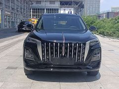 Hongqi HS5 2023 2.0T Qixiang Pro version - фото 2