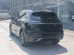 Hongqi HS5 2023 2.0T Qixiang Pro version - фото 6