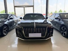 Hongqi H5 2023 2.0T Automatic Zhilianqichang Edition - фото 2