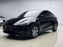 Tesla Model Y Rear-Wheel Drive - фото 1