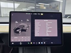 Tesla Model Y Rear-Wheel Drive - фото 16