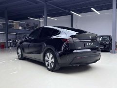 Tesla Model Y Rear-Wheel Drive - фото 3