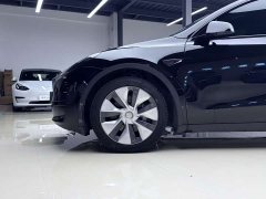 Tesla Model Y Rear-Wheel Drive - фото 9