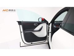 smart#3 25Anniversary Edition - фото 10