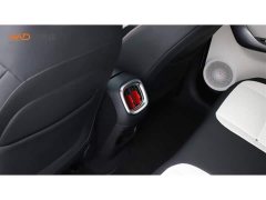 smart#3 25Anniversary Edition - фото 9