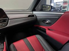 Lexus ES 300h F SPORT - фото 14