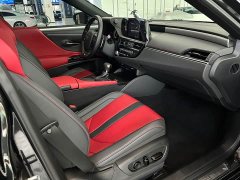 Lexus ES 300h F SPORT - фото 20