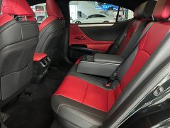 Lexus ES 300h F SPORT - фото 6