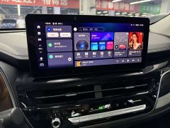 Haval H6 2021 Guochao Edition 1.5T Automatic Champion Edition - фото 15