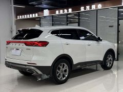 Haval H6 2021 Guochao Edition 1.5T Automatic Champion Edition - фото 19